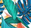 leaves-3923413_1920-01