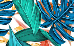 leaves-3923413_1920-01