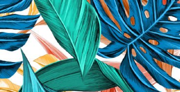 leaves-3923413_1920-01